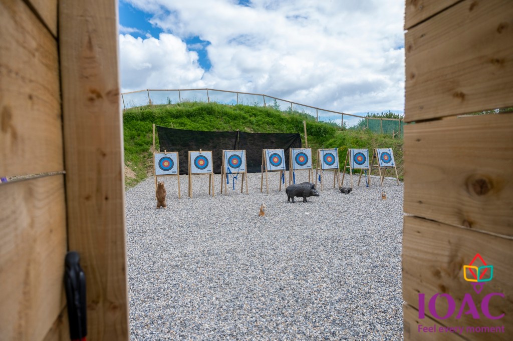 Archery targets with colorful bullseyes in a gravel range under a cloudy sky.