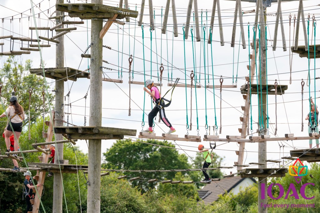 People navigating a high ropes course with harnesses on a sunny day.