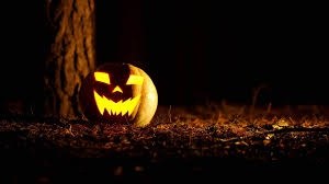 Glowing jack-o'-lantern on forest floor at night.