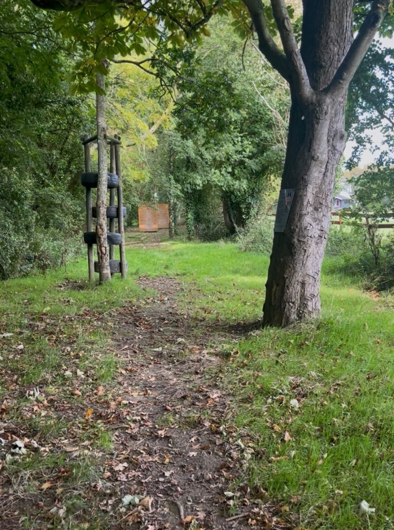 Woodland path with trees, tire swing, and grassy area.